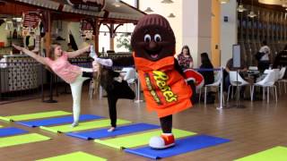 Reeses Peanut Butter Cup Practicing Yoga at Chocolate World [upl. by Mahalia]