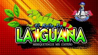 EL BAILE DE LA IGUNA 🦎🔥👍MIX  100 COSTEÑO  Dj Boy Houston El Original 2023 [upl. by Trawets850]