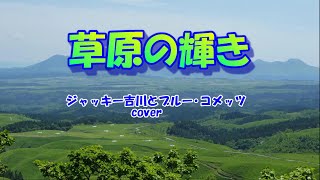 草原の輝き（ジャッキー吉川とブルー・コメッツ）cover [upl. by Mlawsky]