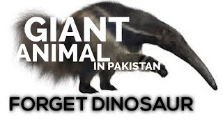 Mammal larger than Dinosaur in balochistan pakistan DinosaurExtinction filmora largestlandmammal [upl. by Emmerich]