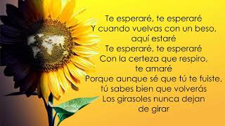 Luis Fonsi  Girasoles Letra [upl. by Minny]