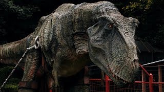 Combe Martin Wildlife and Dinosaur Park Full Video [upl. by Parthena738]