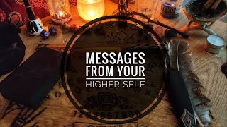 Messages From Your Higher Self  Timeless Reading collectivereading tarot [upl. by Nedmac]