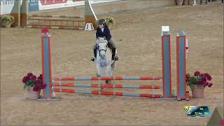 GARA EQUITAZIONE  SALTO OSTACOLI WHITE PONY L60 [upl. by Nap]