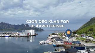 Gjør deg klar for blåkveitefiske Egersund amp Mustad Havservice AS [upl. by Anastice]