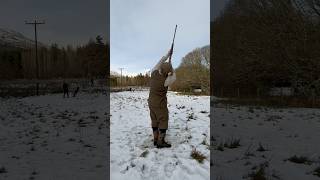 Driven Pheasant Shooting with Labrador Retriever Gundog dog shot pegdog [upl. by Natanoj]