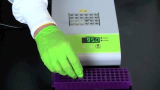 Alu PV92 Detection by PCR [upl. by Hunley]