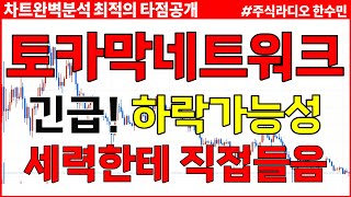 토카막네트워크 전망 긴급 하락가능성 세력한테 직접들었습니다 이 가격 다시잡아가세요 [upl. by Kreitman]