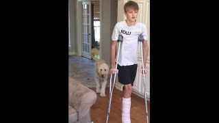 Dog perfectly imitates owner on crutches [upl. by Nesmat]