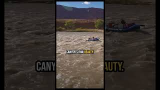 Grand Canyon Adventure Rafting amp Phantom Ranch [upl. by Nerehs864]