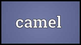 Camel Meaning [upl. by Ellirehs]