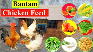 Best Organic Chicken Feed for Laying Hens  Bantam Chickens  Chicken Food  BirdsandAnimalsPlanet [upl. by Orecic571]