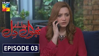 Bhool Jaa Ay Dil Episode 3 HUM TV Drama 18 November 2020 [upl. by Caines]