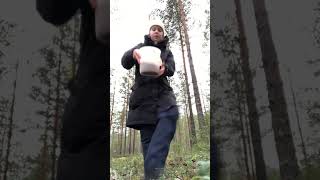 berries lingonberry forest suomi finland viral youtubeshorts metsä mökki [upl. by Bowrah764]