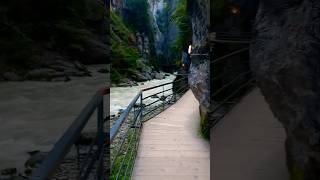 Aareschlucht Meiringen Switzerland Aare Gorges watersounds 🇨🇭gorges pasarelas swissalps [upl. by Harutak]