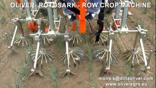 ROTOSARK WEEDING MACHINE BINEUSE ROW CROP HACKMASCHINE [upl. by Miett]