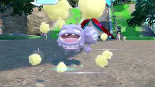 How to Evolve Koffing in Pokemon Scarlet amp Violet DLC [upl. by Robbyn491]