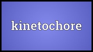 Kinetochore Meaning [upl. by Auqinom]