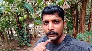 Vlog 8 ഇന്നത്തെ എല്ലാ വ്ലോഗിംഗ് പ്ലാനും മാറി [upl. by Burne]