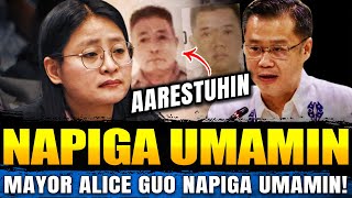 Sen Gatchalian NABISTO ang AMA ni Alice Guo Kwestyonableng Transaksyon Siniwalat Partner Arestuhin [upl. by Arikaahs199]