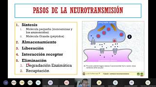 ¿Serotonina o dopamina 🧠 [upl. by Analihp]