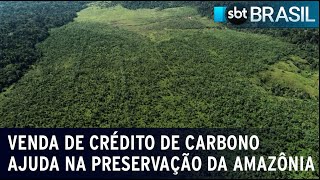 Venda de crédito de carbono ajuda na preservação da Floresta Amazônia  SBT Brasil 02032024 [upl. by Amor]