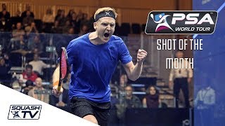 Squash Shot of the Month Contenders  Jan 2018 [upl. by Brotherson]