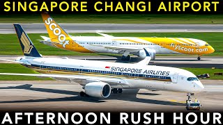 SINGAPORE CHANGI AIRPORT 🇸🇬  Afternoon RUSH HOUR  Plane Spotting [upl. by Sadira]