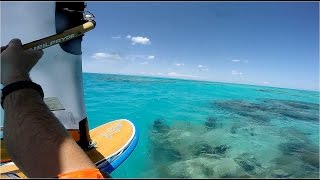 Nipping Shrew de Reefs Spring 2015  Bermuda Windsurfing Starboard Free Formula [upl. by Adnara]