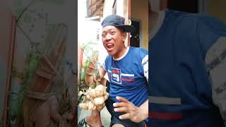 Katok bolong di pangan bang awak 🤣👍shorts lucu [upl. by Kunz]