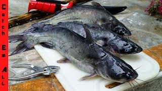 CATFISH POND to PAN BEST WAY to Catch and Cook Catfish [upl. by Ofloda]