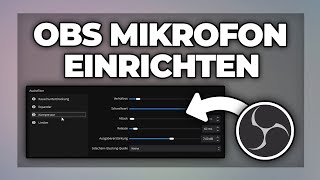 OBS Mikrofon richtig einstellen amp Rauschen entfernen  Tutorial [upl. by Pigeon]