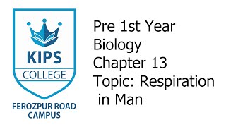 Respiration in Man  1st Year Biology  Chapter No 13 [upl. by Chad]