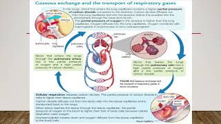 4 Chapter 8  Gaseous Exchange in Humans [upl. by Nerej]