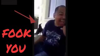 Funniest Cursing Birds Compilation MUST SEE 🐦🐦 [upl. by Eirelam236]