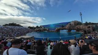 SeaWorld San Diego Orca Show 4K Full Show [upl. by Akehs809]