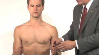 Shoulder Exam 8 of 9 Examination for impingement rotator cuff [upl. by Jessey211]