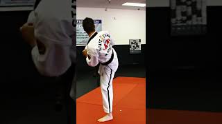 American Taekwondo  Songahm 1 by Nicholas Schafer Read Description about styleshorts short [upl. by Goldberg]