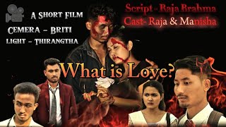 What is Loveअननाया माOnnaia MaA Short movie 2024Raja Brahma amp Manisha Muchahary love [upl. by Erodeht51]