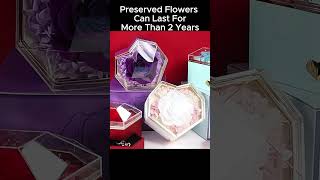 shorts Preserved Rose Casket preservedroses eternalroses [upl. by Jovita]