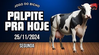 PALPITE FORTE PRA HOJE 25112024  JOGO DO BICHO 🍀 TODAS AS LOTERIAS 🍀 [upl. by Higgs]