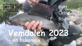 Vemdalen 2023  en fiskeresa [upl. by Yssor]