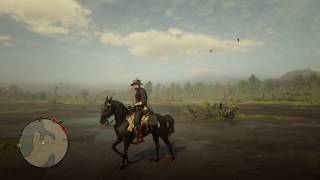 RDR2  Testing The Bravery Of Arabians Black Arabian vs Alligators [upl. by Swisher223]