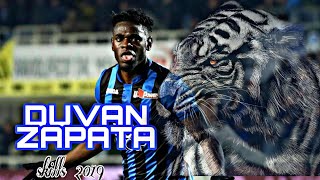 Duvan Zapata 2019 ● Skills ● Atalanta  HD [upl. by Selma865]