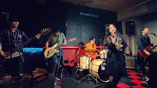 The Brown Fields Live at 新宿 Azzitto1224 Oct 27th 2024 [upl. by Uzia555]