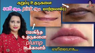 How to make Dark Lips into Pink Lips amp Plump Lips  Tamil  Vasundhara Beautician  Nayaki Tv [upl. by Auroora749]