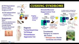 3 Minutes Cushing Syndrome Causes Symptoms Diagnosis Treatment Pathology USMLE NCLEX MCAT [upl. by Nomrej854]