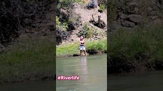 riverside Animas River Durango Colorado [upl. by Augustine]