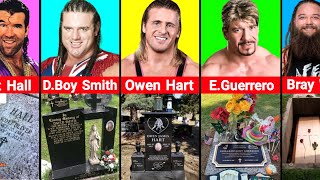 Tombstones of the WWE Wrestlers Who Died [upl. by Rimhsak340]