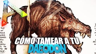 COMO TAMEAR A TU DAEODON  Guia Español  Ark Survival Evolved [upl. by Eneluj]